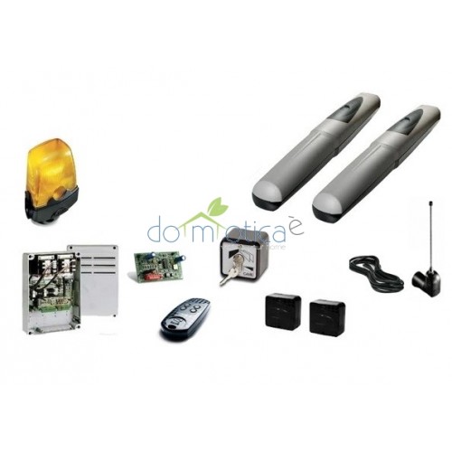 CAME 001U7334 SISTEMA COMPLETO CON MOTORIDUTTORE 230VAC PER CANCELLI BATTENTE 2 ANTE MAX 3 MT PER ANTA 'AXO' CAME 001U7334 SISTEMA COMPLETO CON MOTORIDUTTORE 230VAC PER CANCELLI BATTENTE 2 ANTE MAX 3 MT PER ANTA 'AXO'