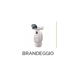 Brandeggio